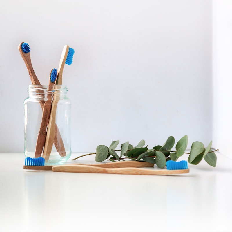 Eco Friendly Toothbrush