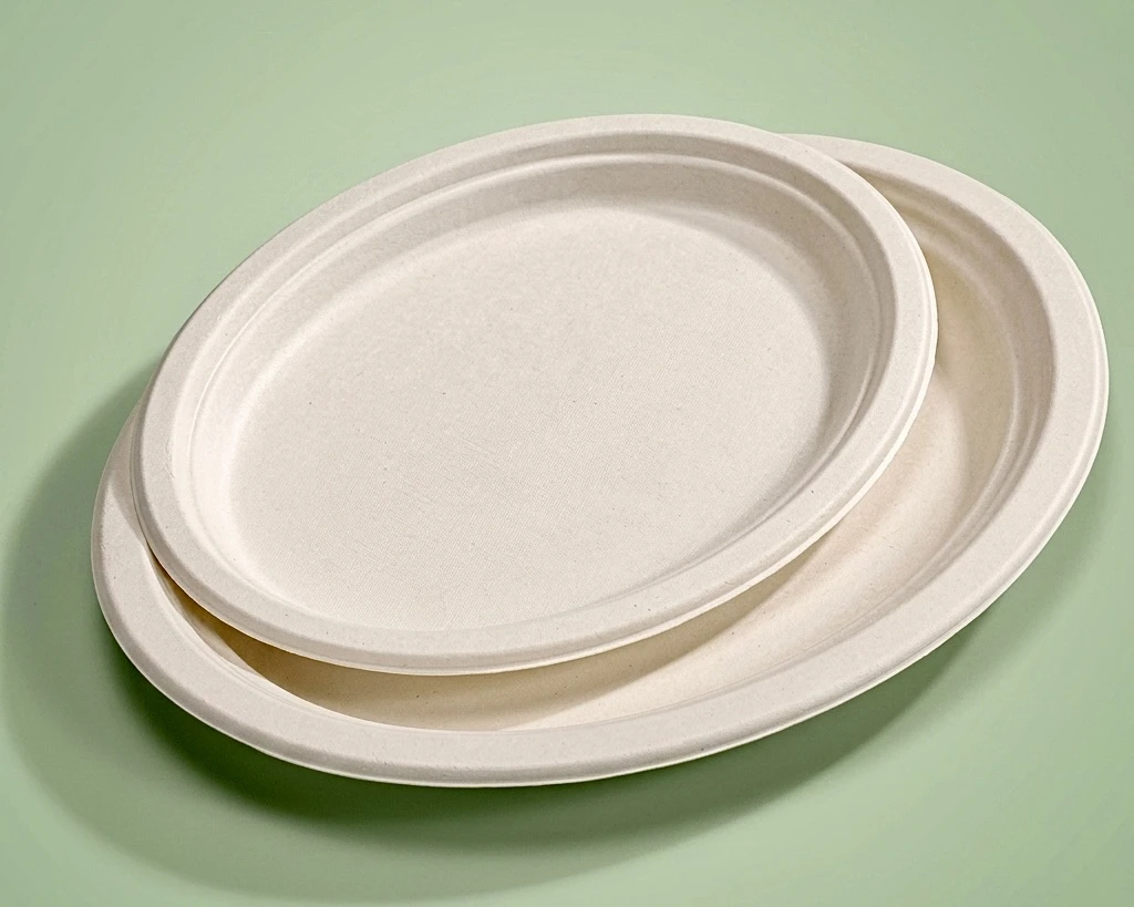 Bagasse plates