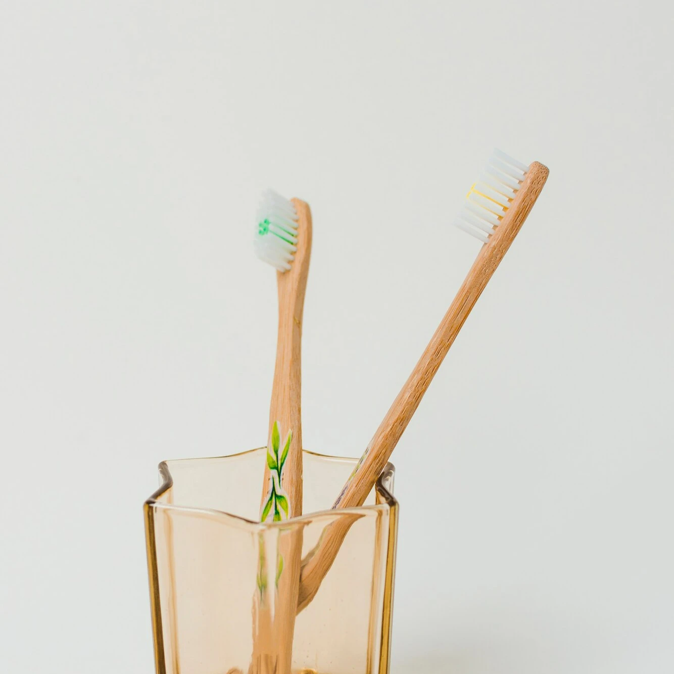 Eco Friendly Toothbrush